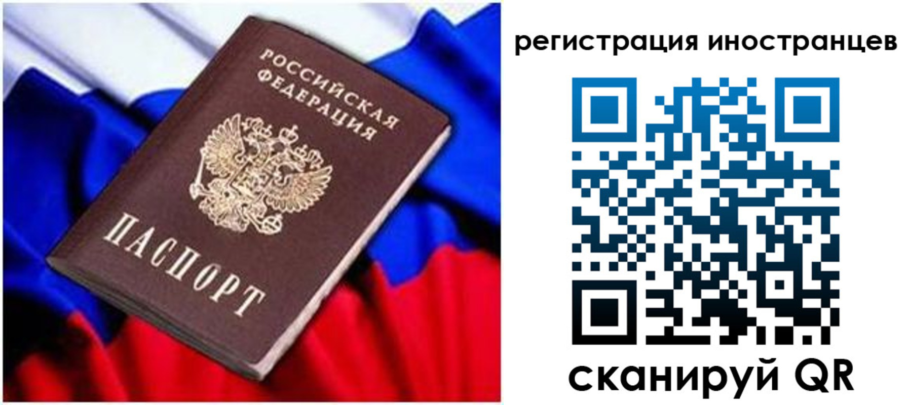 прописка для школы в Ясном